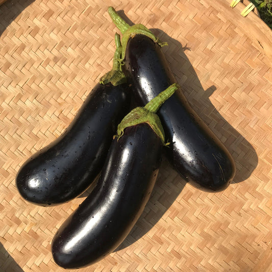 Eggplant, Italian